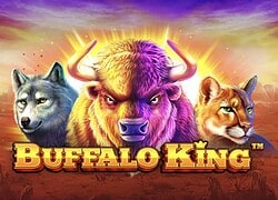 Buffalo King Casino Slot  Rolling Slots Casino Online Canada
