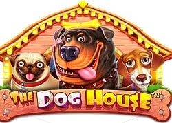 Dog House Casino Game  Rolling Slots Casino Online Canada